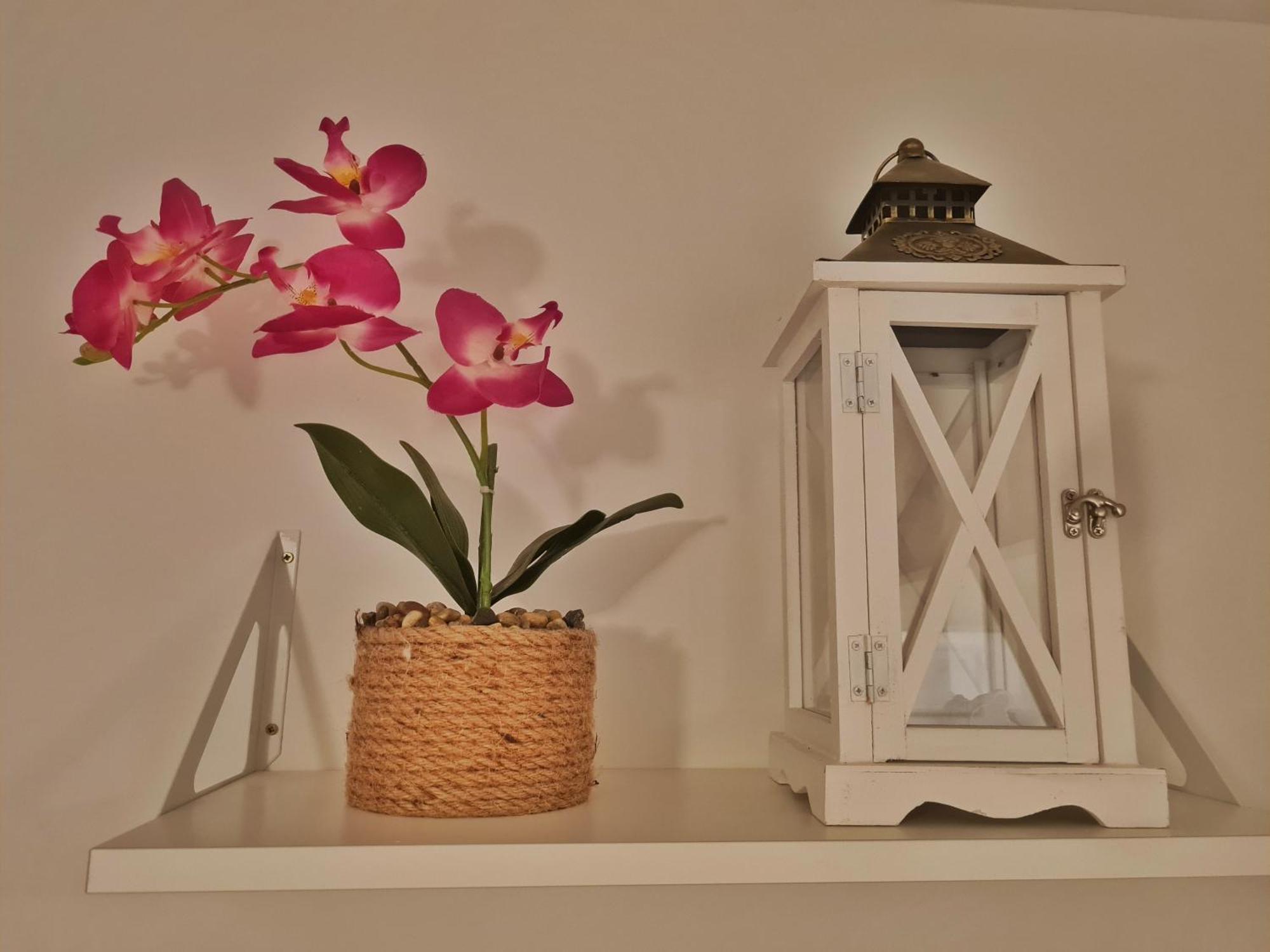 Holiday Place Veli Dvor - Vacation House With Private Garden In Old Town Пунат Экстерьер фото