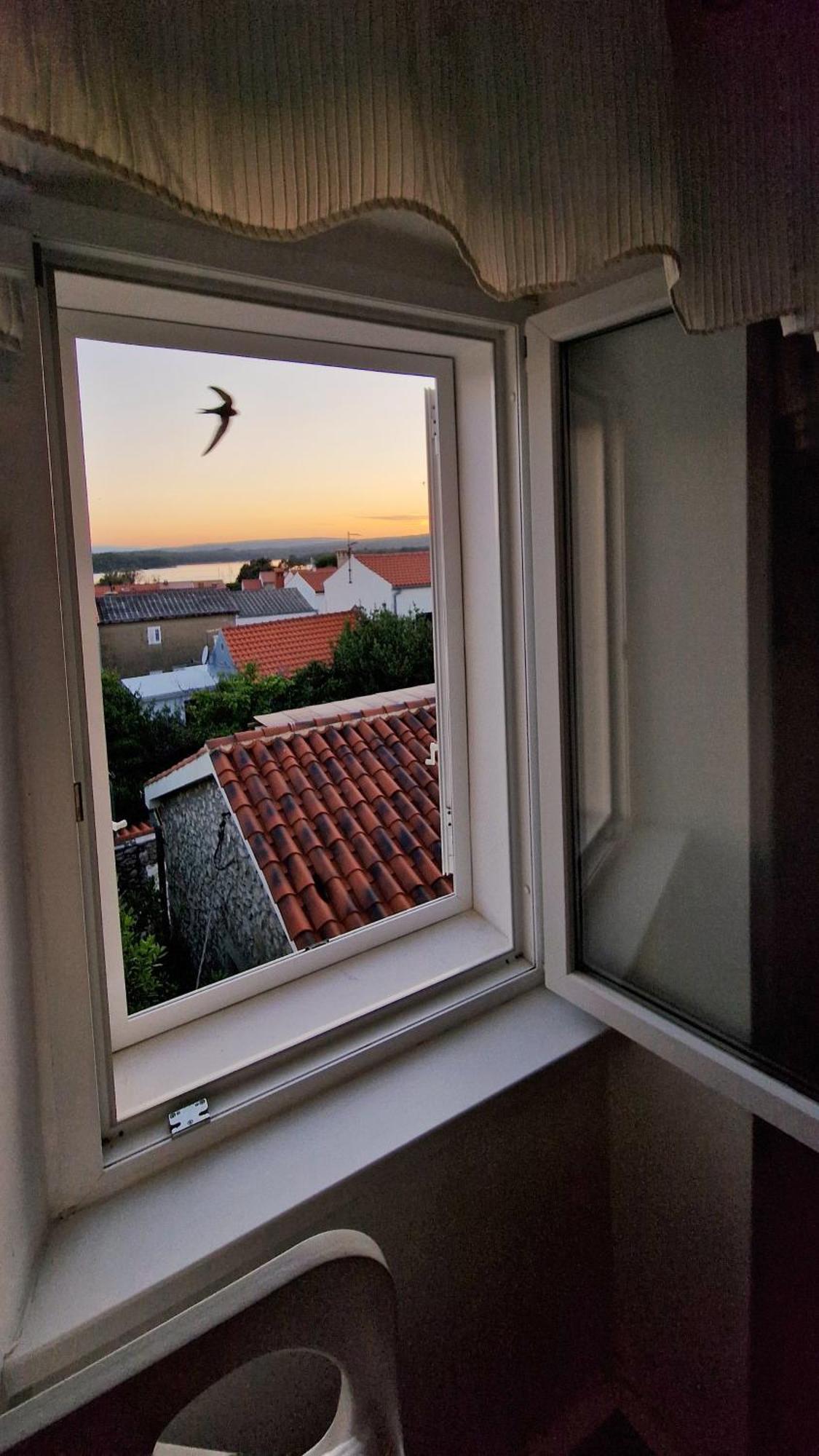 Holiday Place Veli Dvor - Vacation House With Private Garden In Old Town Пунат Экстерьер фото